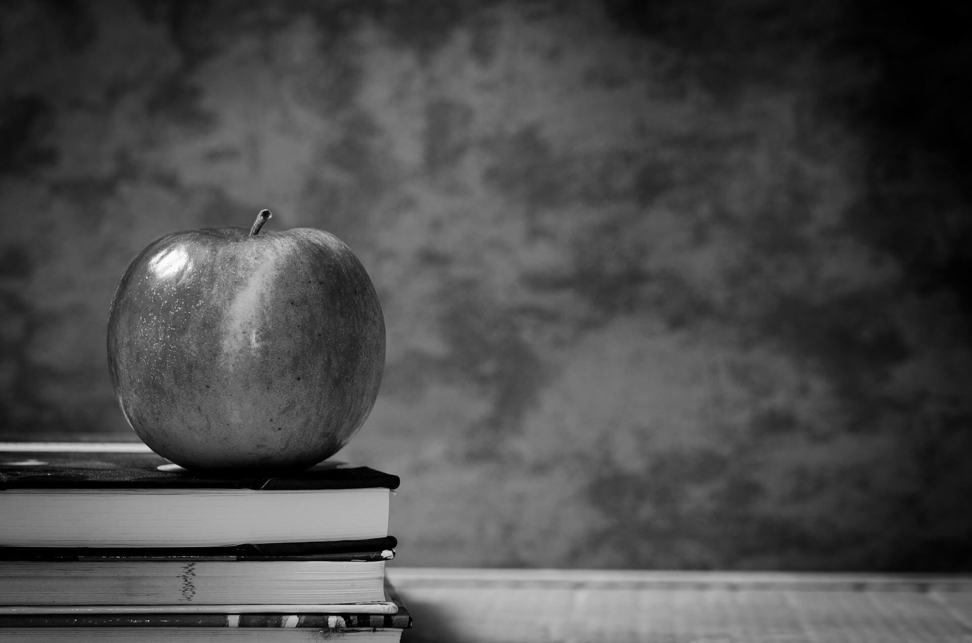 Featured image for “Sicurezza a scuola e come valutarla”